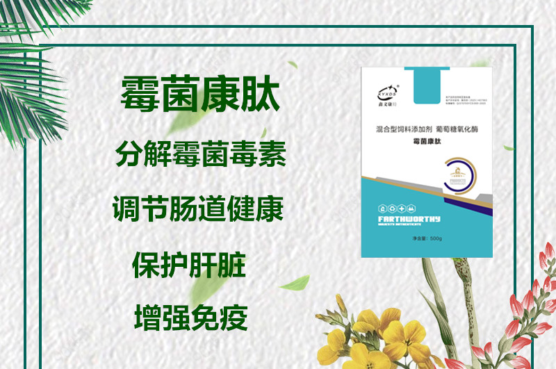 霉菌康肽圖二.jpg 霉菌康肽圖二.jpg